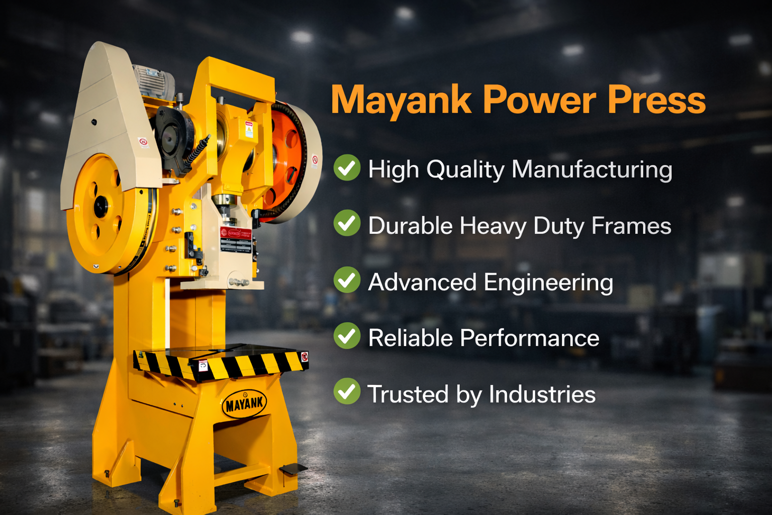 Why Should You Choose Mayank Power Press?